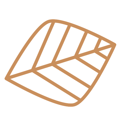 Feuille décorative